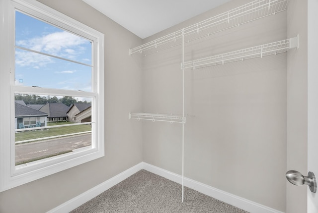211 Donegal Dr, Clarksville, TN 37042 - photo 25