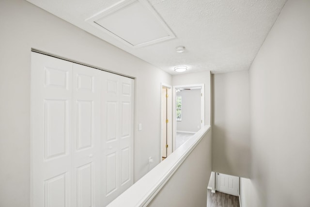 5428 Cedar Ash Xing, Antioch, TN 37013 - hallway with a textured ceiling and wood finished floors