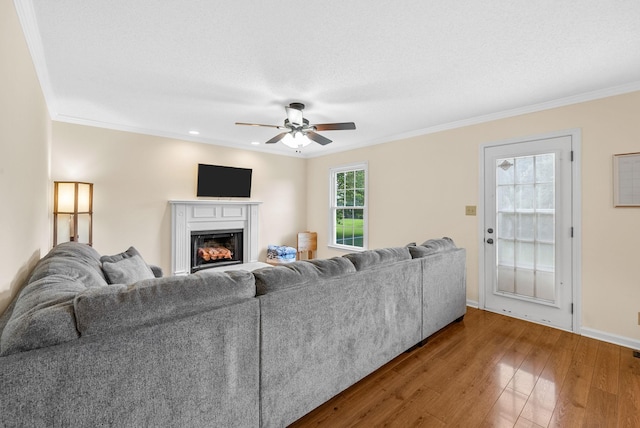 2130 Amadeus Dr, Clarksville, TN 37040 - photo 7