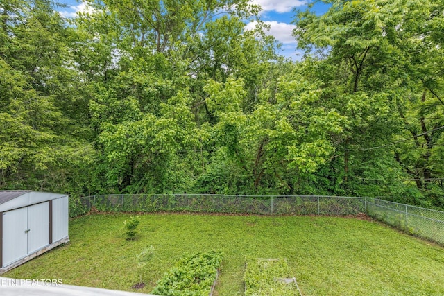 3916 W Bellemeade Ave, Knoxville, TN 37919 - photo 34