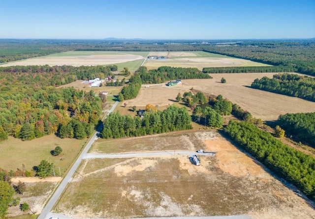 3161 Hickerson Rd, Manchester, TN 37355 - photo 3