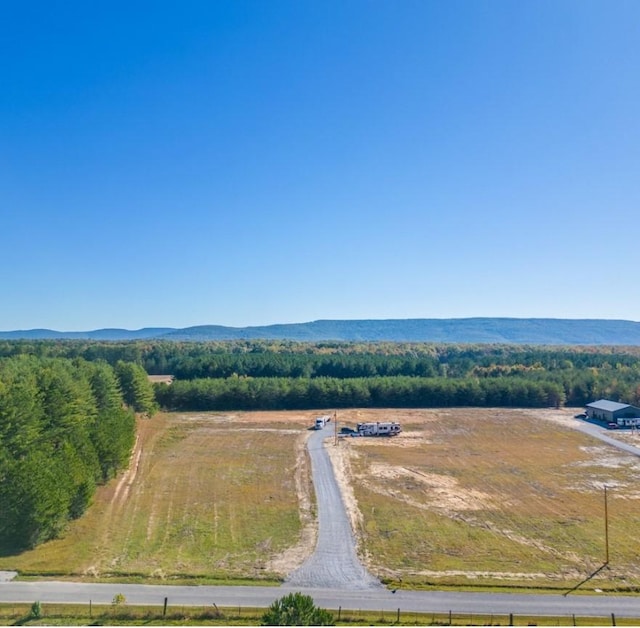 3161 Hickerson Rd, Manchester, TN 37355 - photo 2