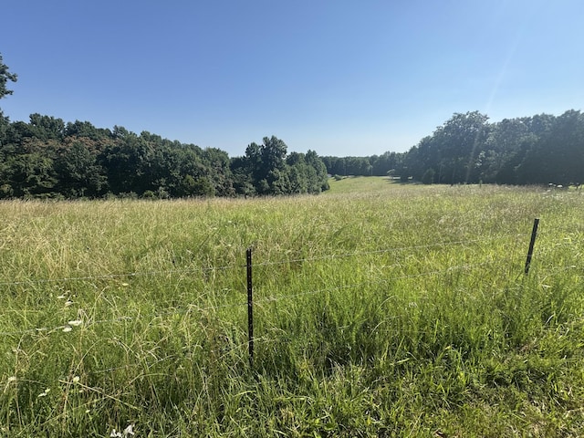 0 Pack Rd, White Bluff, TN 37187 - photo 5