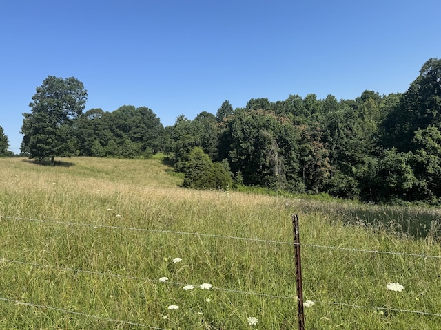 0 Pack Rd, White Bluff, TN 37187 - photo 3