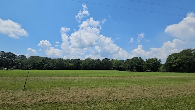 0 Pleasant Grove Rd, Estill Springs, TN 37330 - photo 3