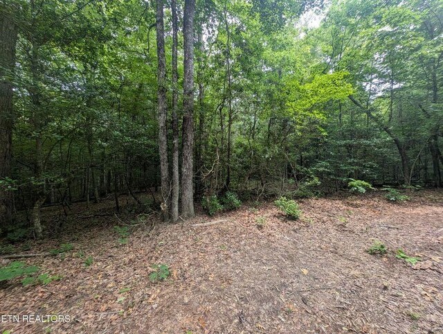 0 Model Farm Rd, Jamestown, TN 38556