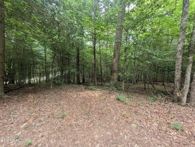 0 Model Farm Rd, Jamestown, TN 38556