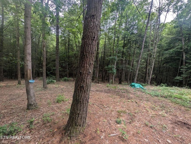 0 Model Farm Rd, Jamestown, TN 38556