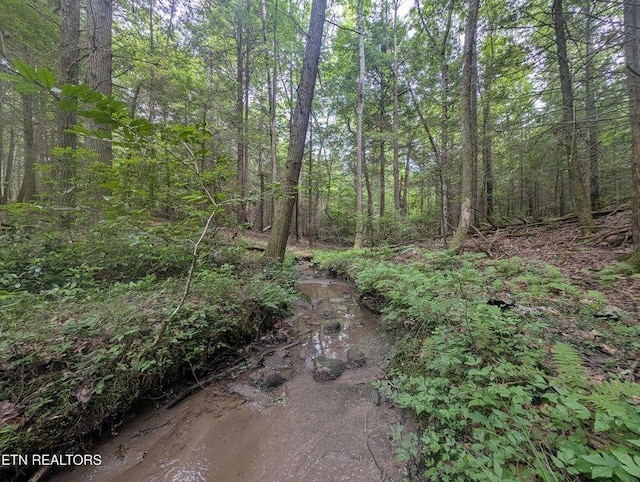 0 Model Farm Rd, Jamestown, TN 38556