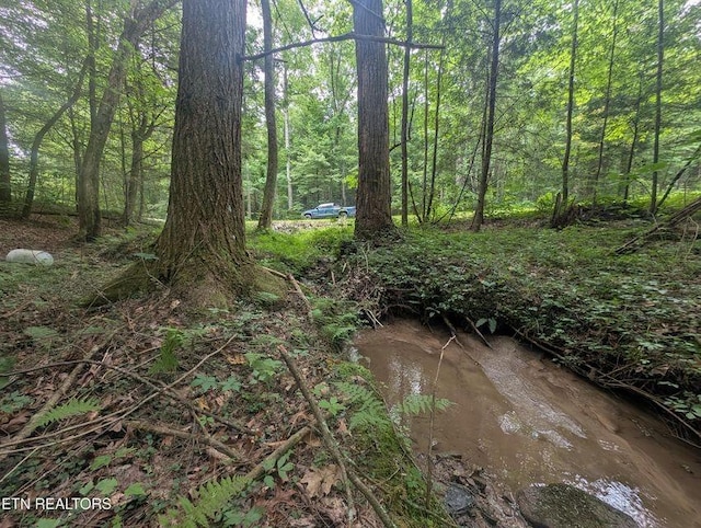 0 Model Farm Rd, Jamestown, TN 38556