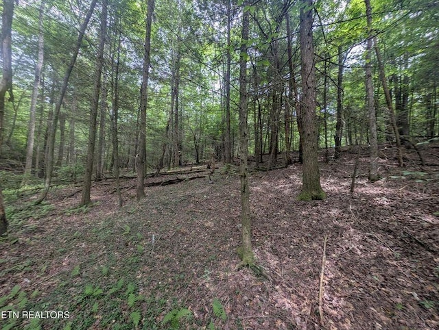 0 Model Farm Rd, Jamestown, TN 38556