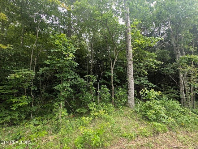 0 Model Farm Rd, Jamestown, TN 38556