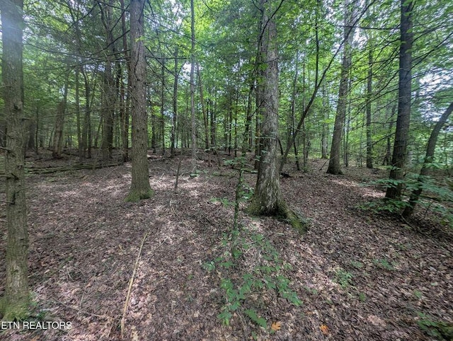 0 Model Farm Rd, Jamestown, TN 38556