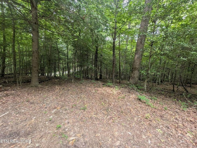 0 Model Farm Rd, Jamestown, TN 38556