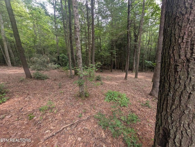 0 Model Farm Rd, Jamestown, TN 38556