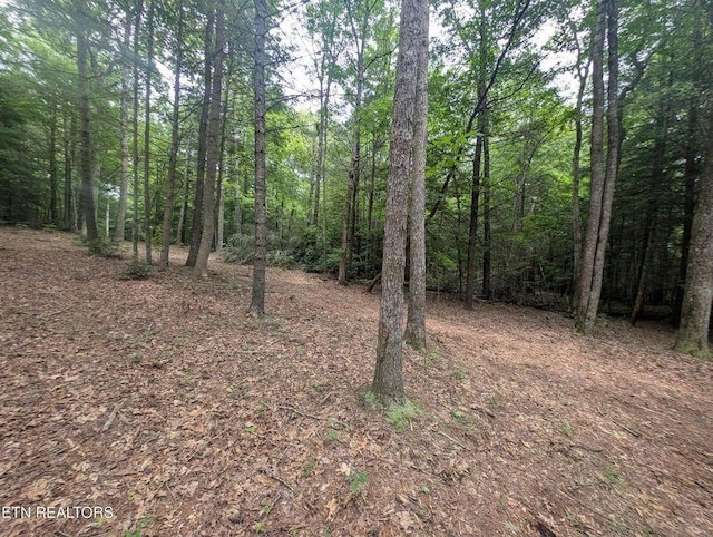 0 Model Farm Rd, Jamestown, TN 38556