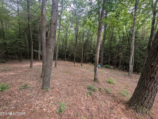 0 Model Farm Rd, Jamestown, TN 38556