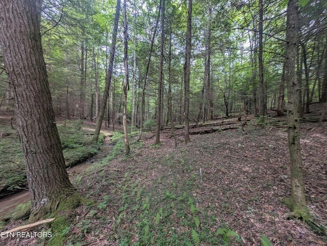 0 Model Farm Rd, Jamestown, TN 38556