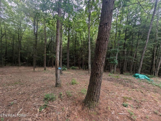 0 Model Farm Rd, Jamestown, TN 38556