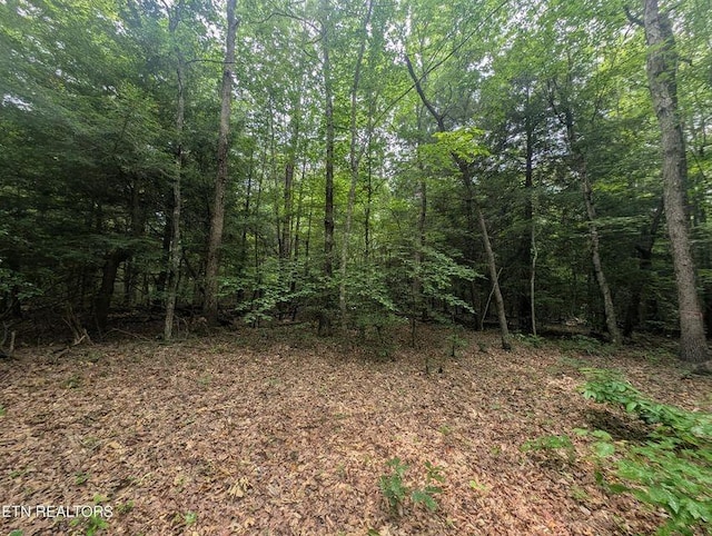 0 Model Farm Rd, Jamestown, TN 38556