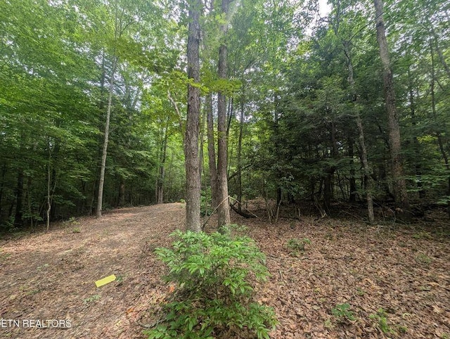 0 Model Farm Rd, Jamestown, TN 38556