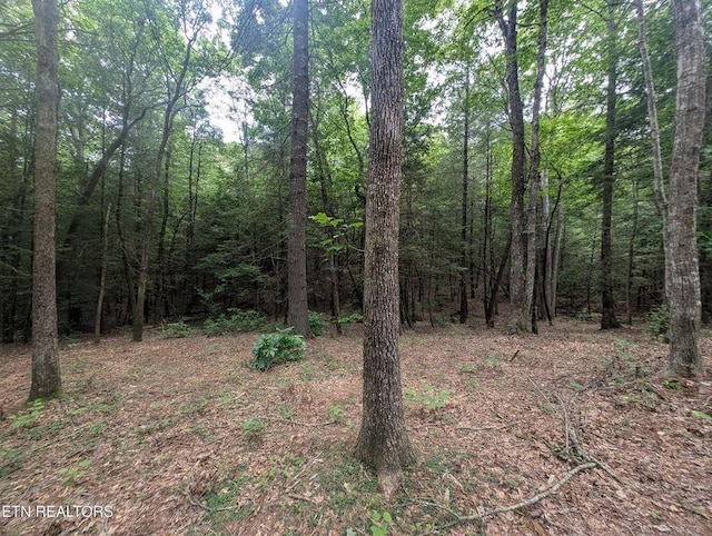 0 Model Farm Rd, Jamestown, TN 38556