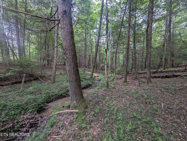 0 Model Farm Rd, Jamestown, TN 38556