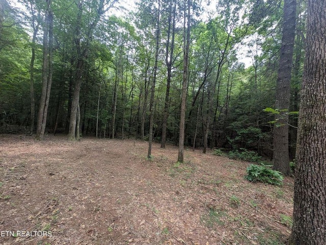 0 Model Farm Rd, Jamestown, TN 38556