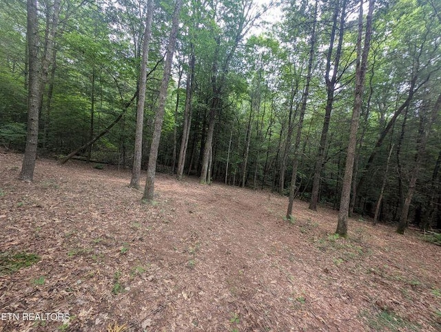 0 Model Farm Rd, Jamestown, TN 38556