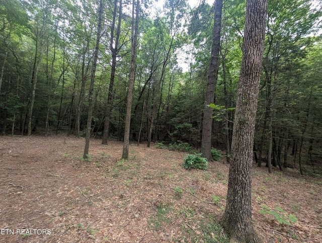 0 Model Farm Rd, Jamestown, TN 38556