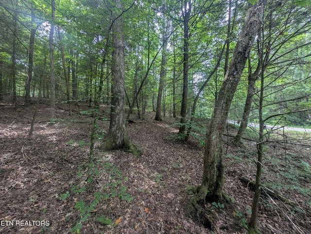 0 Model Farm Rd, Jamestown, TN 38556