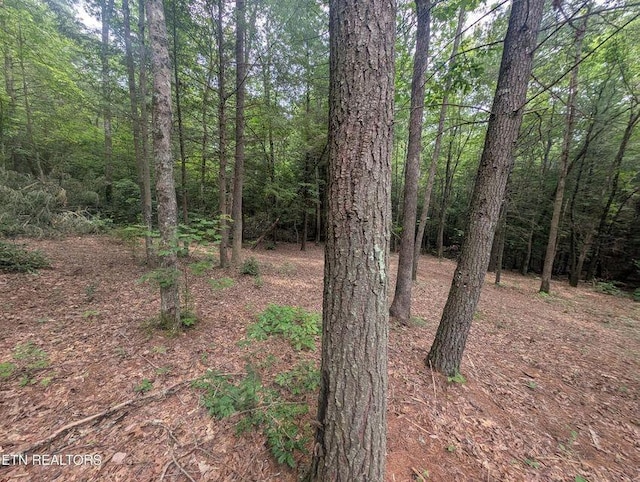 0 Model Farm Rd, Jamestown, TN 38556