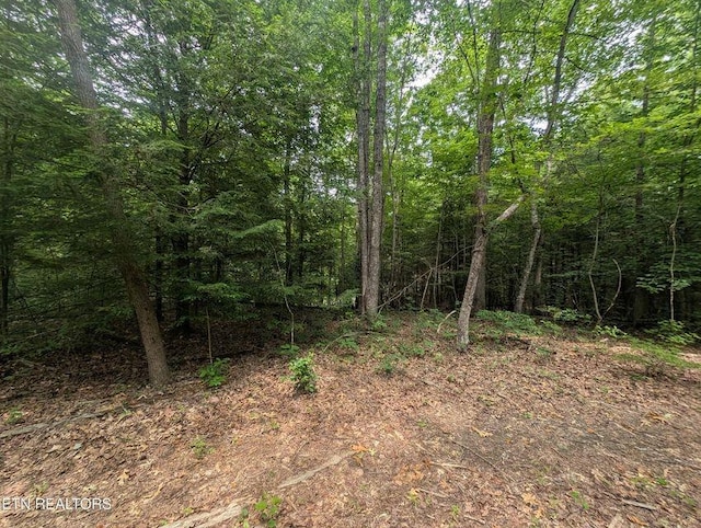 0 Model Farm Rd, Jamestown, TN 38556