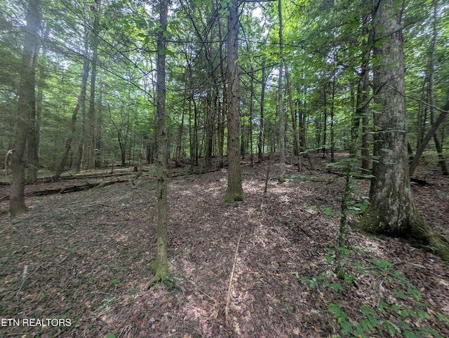 0 Model Farm Rd, Jamestown, TN 38556