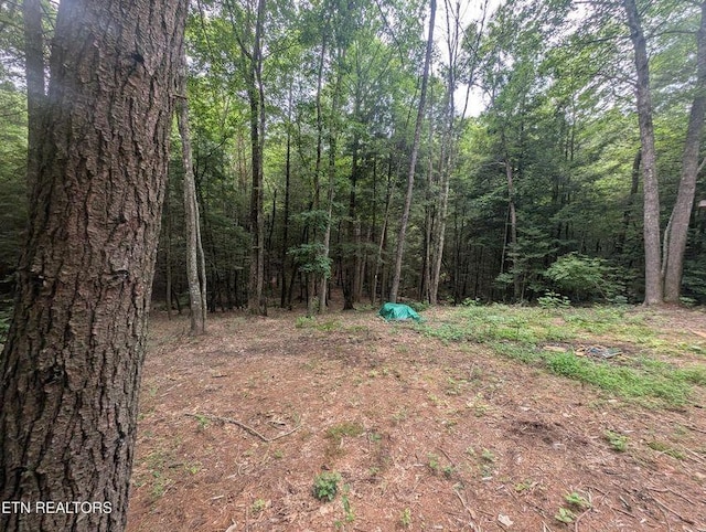 0 Model Farm Rd, Jamestown, TN 38556