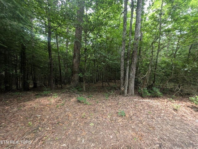 0 Model Farm Rd, Jamestown, TN 38556