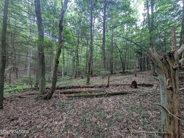 0 Model Farm Rd, Jamestown, TN 38556