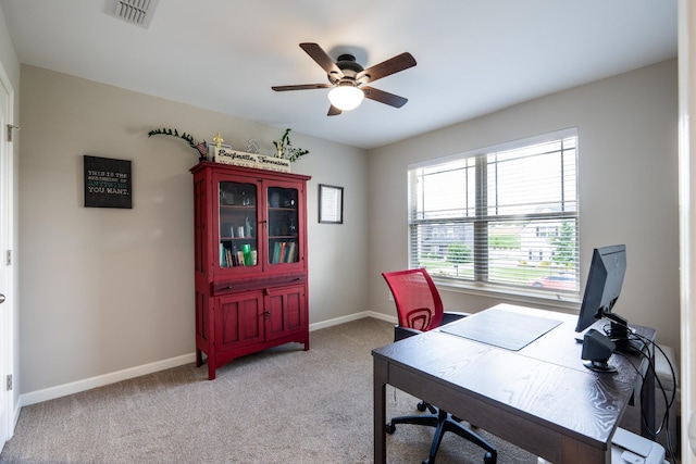 509 Eagleview Dr, Eagleville, TN 37060 - photo 24