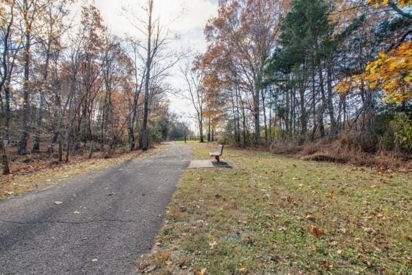 2086 Seiver Ln, White House, TN 37188 - photo 22