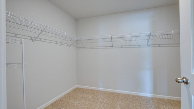 2086 Seiver Ln, White House, TN 37188 - photo 14
