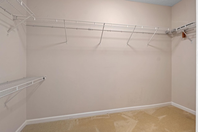 225 Cobblestone Lndg, Mount Juliet, TN 37122 - spacious closet featuring carpet flooring