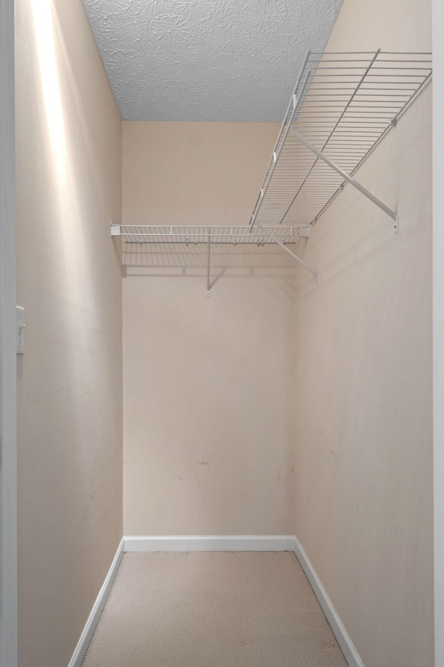 225 Cobblestone Lndg, Mount Juliet, TN 37122 - walk in closet with carpet