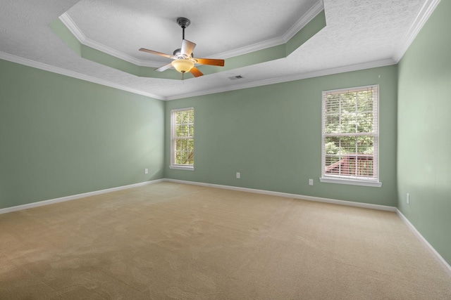 225 Cobblestone Lndg, Mount Juliet, TN 37122 - unfurnished room with healthy amount of natural light, light carpet, crown molding, a textured ceiling, and a raised ceiling