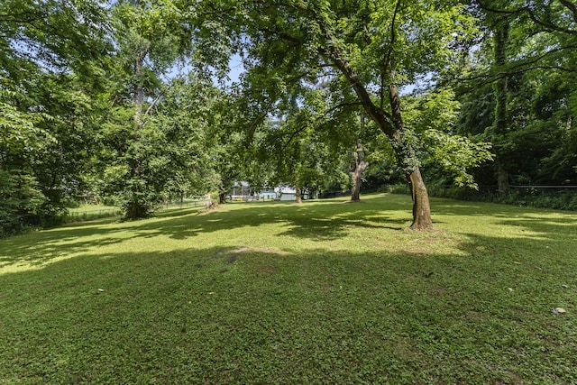 207 Fonnic Dr, Goodlettsville, TN 37072 - photo 28