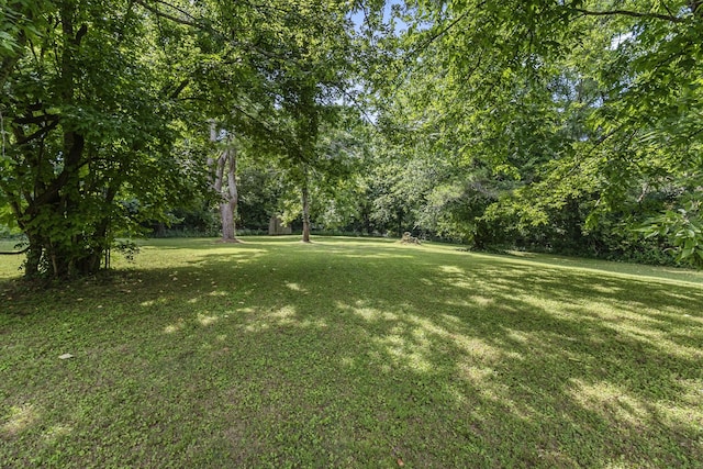 207 Fonnic Dr, Goodlettsville, TN 37072 - photo 27