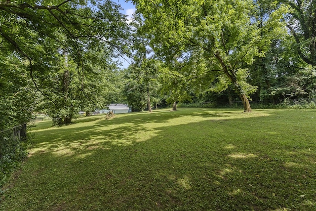 207 Fonnic Dr, Goodlettsville, TN 37072 - photo 26