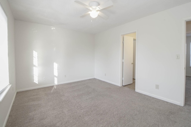2000 Tynewood Dr, Clarksville, TN 37042 - photo 22