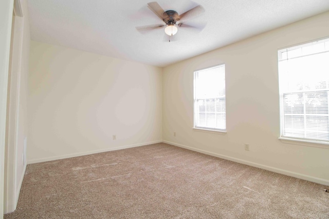 2000 Tynewood Dr, Clarksville, TN 37042 - photo 59
