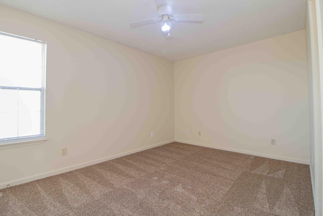 2000 Tynewood Dr, Clarksville, TN 37042 - photo 65