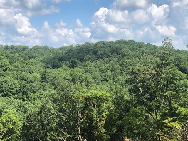 1097 Paiute Trl, Pegram, TN 37143 - photo 7